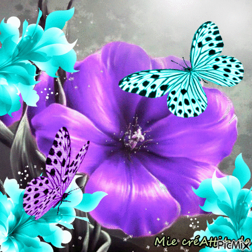 turquoise & violet - GIF animé gratuit