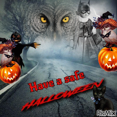 halloween owl - GIF เคลื่อนไหวฟรี