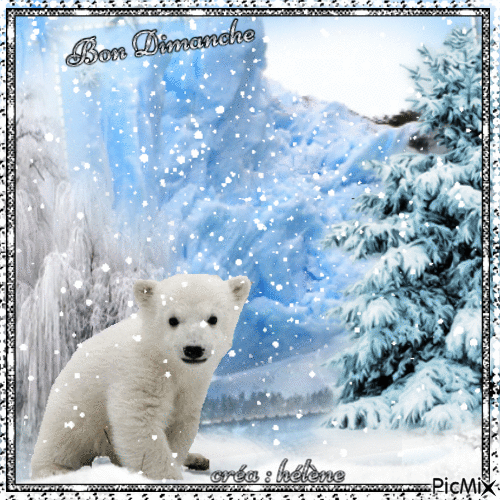 petit ours blanc - Free animated GIF
