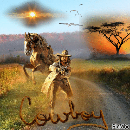 Cowboy - Free animated GIF