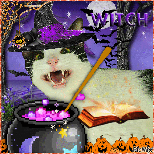 Halloween Witch Cat - Darmowy animowany GIF