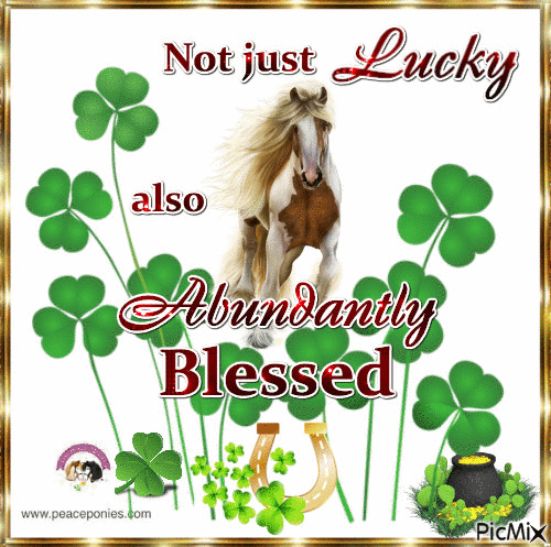 Blessed 🍀 - Free animated GIF