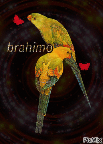 brahimo - Bezmaksas animēts GIF