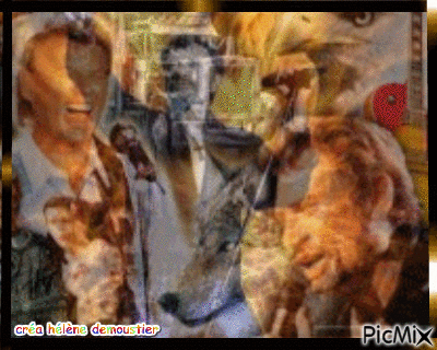 HD Johnny Hallyday - Zdarma animovaný GIF