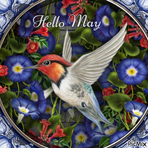 Hello May-RM-05-01-23 - 免费PNG