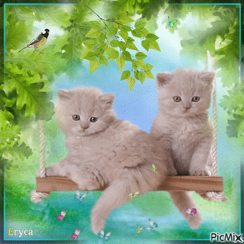 Chatons et papillons - Free animated GIF