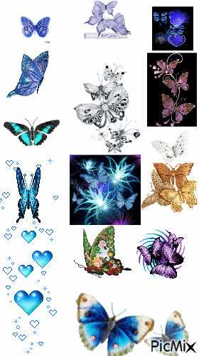 toute sorte de papillons - GIF animate gratis