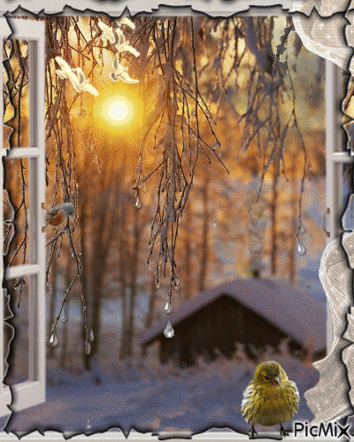 冬の日の出 - Darmowy animowany GIF