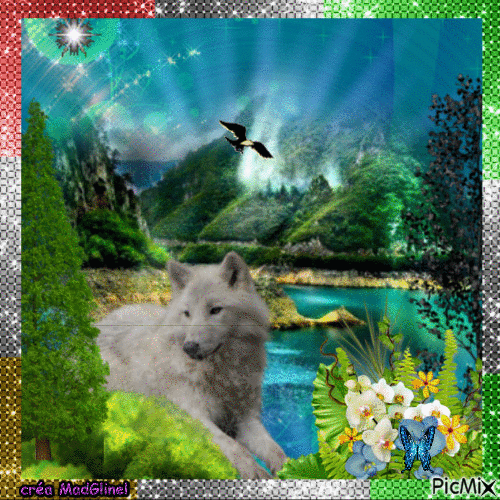 un loup dans la montagne - Безплатен анимиран GIF