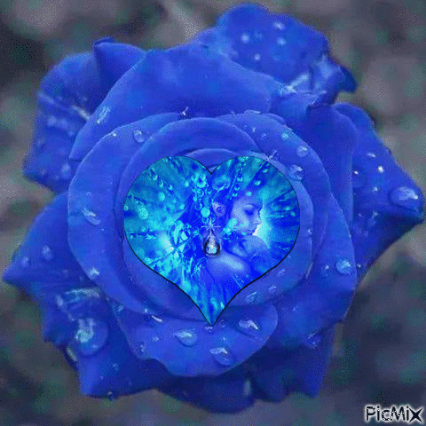 rose bleue - GIF animasi gratis