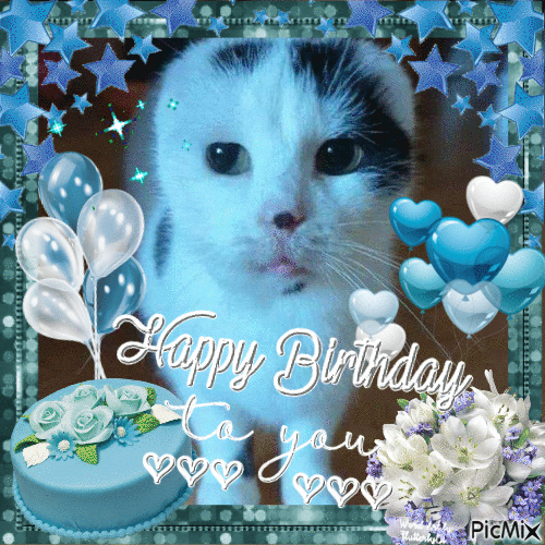 Blue Kitten Happy Birthday Glamour - GIF animé gratuit