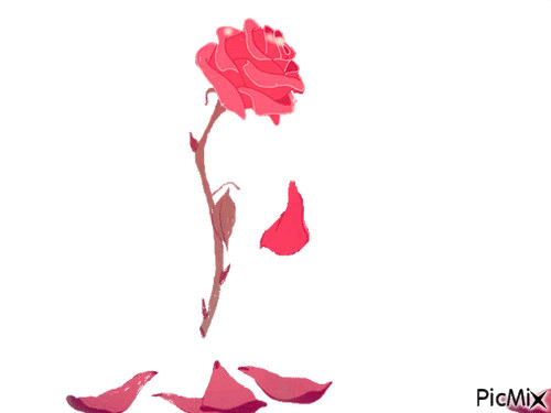 rosa - GIF animado gratis