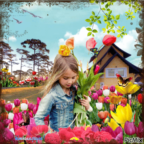 Mùa Hoa Tulip - Darmowy animowany GIF