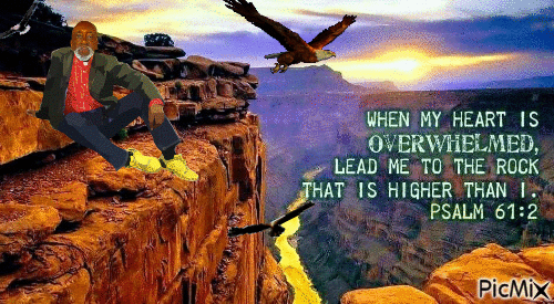 Hawk - Ingyenes animált GIF