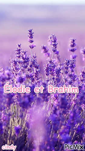 Élodie et Brahim - 無料png