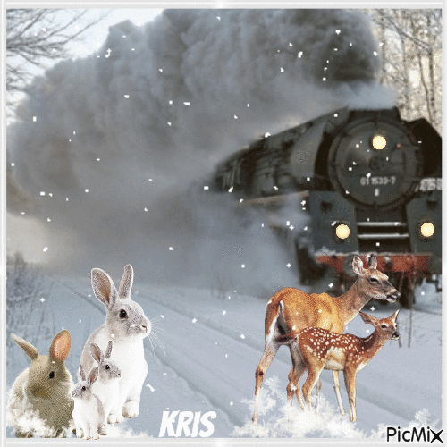 Il neige - Lapins blancs - Animovaný GIF zadarmo