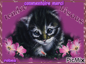 Pour vos tendres commentaires merci Gros Bisous - 免费动画 GIF