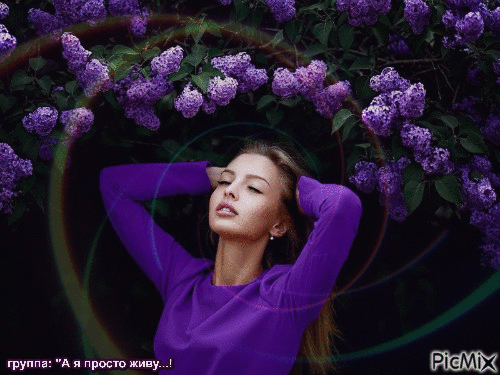 Фиолетовые сны,весна - Бесплатный анимированный гифка