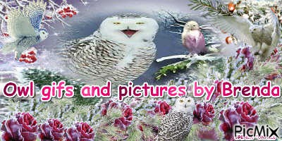 COVER PHOTO GROUP - png gratis