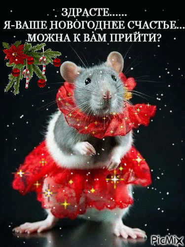 год крысы - Free animated GIF