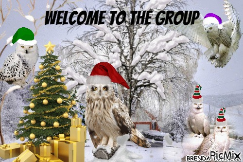 Christmas welcome owl - png ฟรี