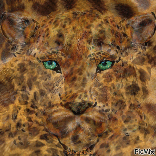 Красавец Леопард - Gratis animeret GIF