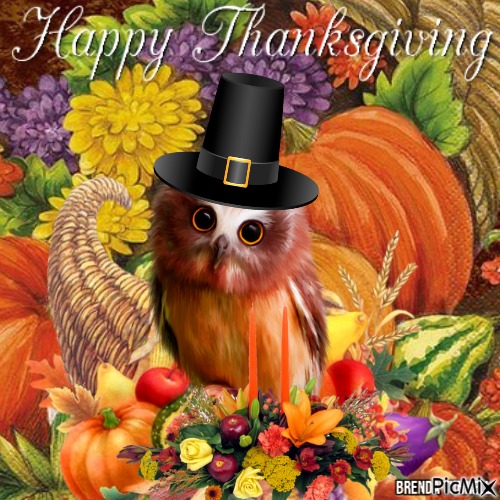 thanksgiving owl - ilmainen png