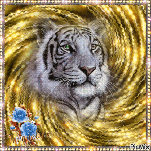 superbe tigre - Ilmainen animoitu GIF