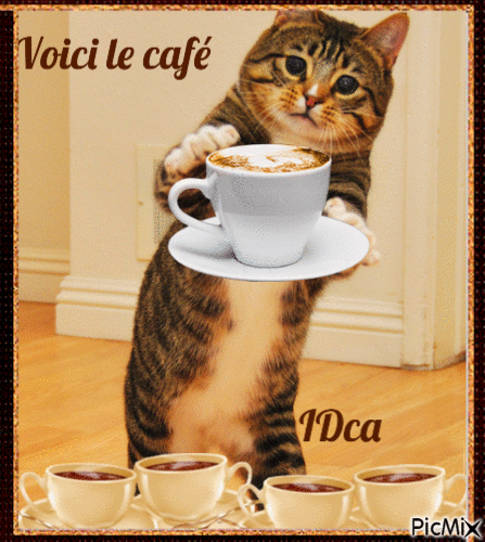 Café du chat - Bezmaksas animēts GIF