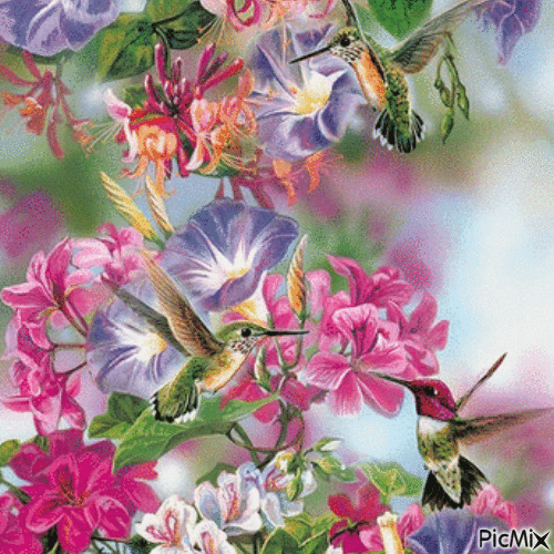 Les fleurs et les oiseaux - Free animated GIF