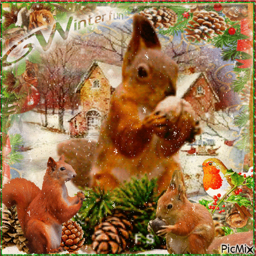 Squirrel in winter - Бесплатный анимированный гифка