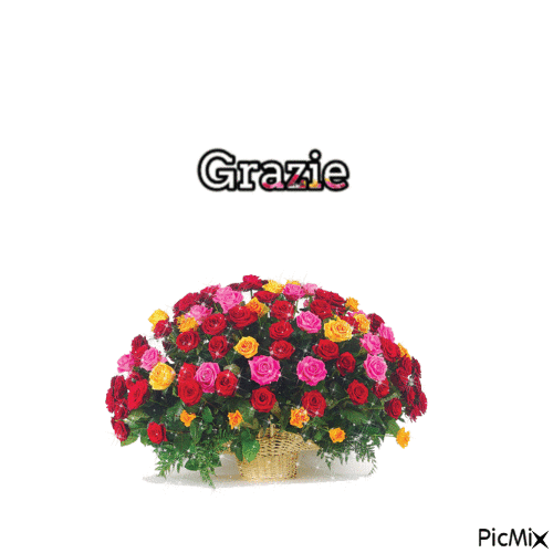 grazie - 免费动画 GIF