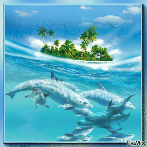 Dolphins - GIF animasi gratis