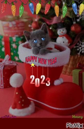 Happy New Year - Gratis animeret GIF