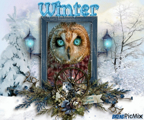 winter owl - GIF animado grátis