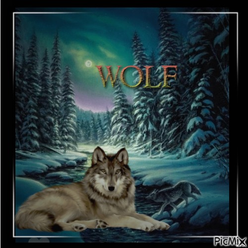 Lobo/Wolf - png gratis