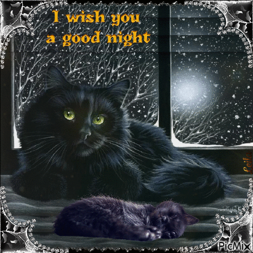 I wish you a good night. Cats, winter - GIF animasi gratis