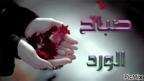 صباح الورد - Darmowy animowany GIF