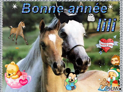 bonne annee - GIF animado grátis