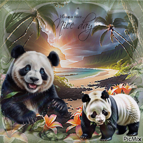 Panda - GIF animado grátis