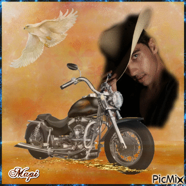 Le motard du désert - GIF animado gratis