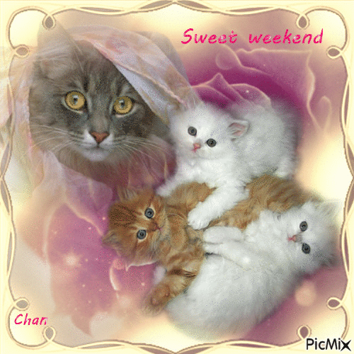 Sweet weekend - 無料のアニメーション GIF