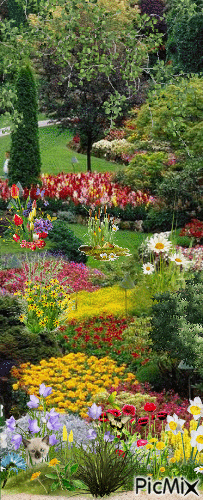 Jardín botánico - GIF animado grátis