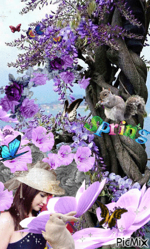 Purple Spring - Zdarma animovaný GIF
