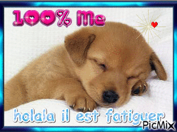 I love puppy end sleep is 100% me - Zdarma animovaný GIF