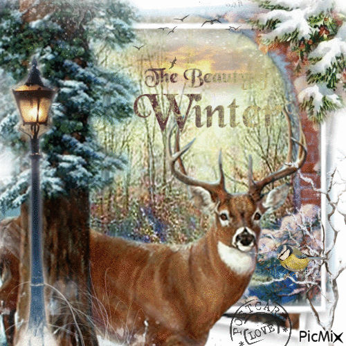 The Beauty of Winter - Бесплатный анимированный гифка