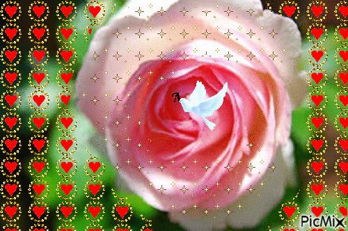 Rosas 5 - 免费动画 GIF