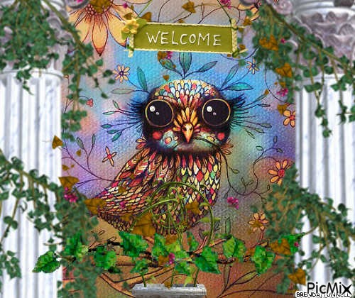 WELCOME OWL - ücretsiz png