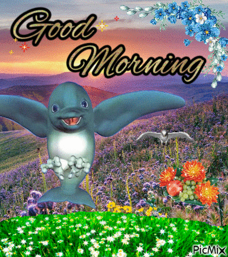 good morning finfin - Free animated GIF