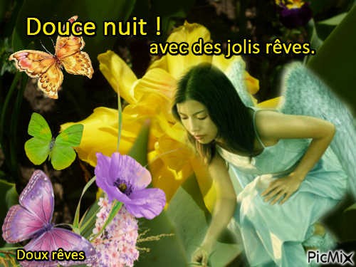 Douce nuit - Free PNG